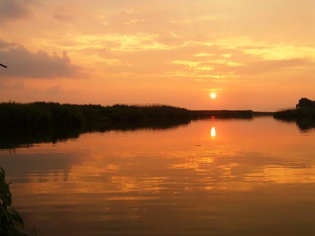 delta rosu 2007 - rosu-august-2007-198.jpg